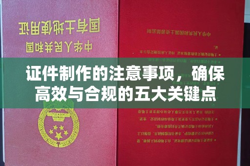 南溪证件制作的注意事项，确保高效与合规的五大关键点