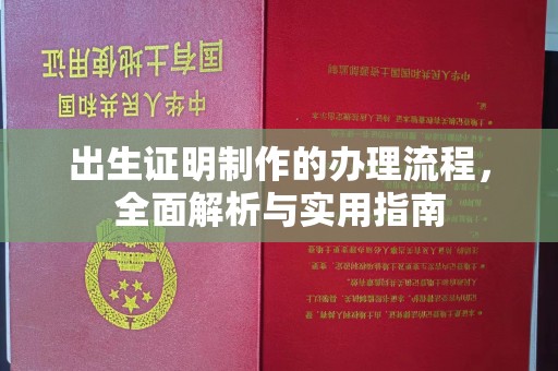 南溪出生证明制作的办理流程，全面解析与实用指南