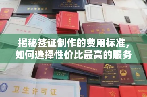 南溪揭秘签证制作的费用标准，如何选择性价比最高的服务？
