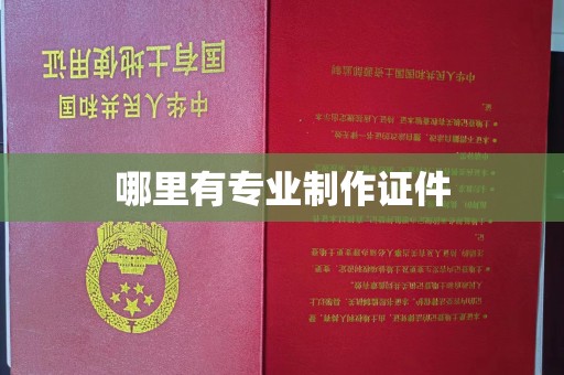 南溪哪里有专业制作证件